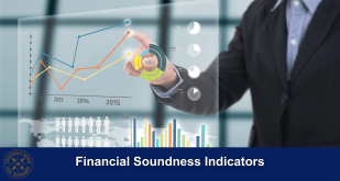 Financial Soundness Indicators